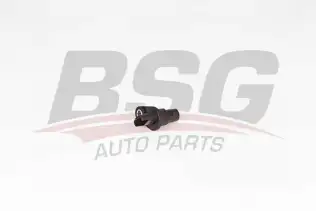 BSG 15837026 Krank Devir Sensörü