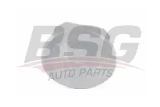BSG 65922076 Çeki Demir Kapağı Arka