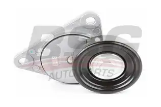 BSG 16615004 V Kayış Gergi Rulmanı