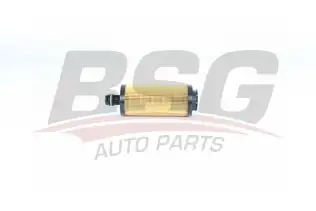 BSG 16140004 Yağ Filtresi