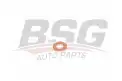 BSG 30995049 Enjektör Alt Pulu