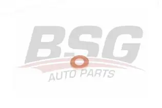 BSG 30995049 Enjektör Alt Pulu