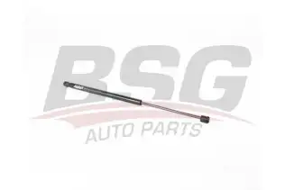 BSG 15980045 Motor Kaput Amortisörü