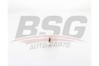 BSG 40130024 Yakıt Filtresi