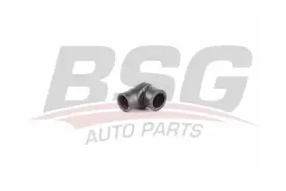 BSG 60720147 Hava Hortumu