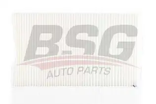 BSG 90145006 Polen Filtresi