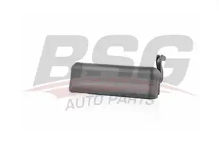 BSG 30970039 Kapı Dış Açma Kolu Sol