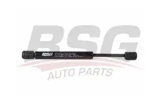BSG 30980024 Motor Kaput Amortisörü