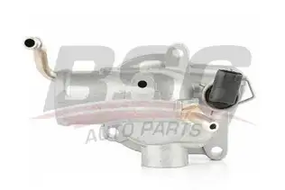 BSG 60125009 Termostat