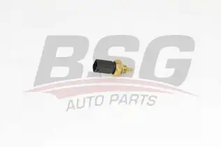 BSG 75840009 Hararet Müşürü