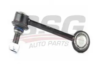 BSG 40310075 Viraj Askı Rotu Arka Sol