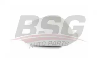 BSG 15915015 Ayna Kapağı Sağ