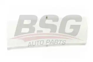 BSG 65924023 Kapı Bandı Arka Sol