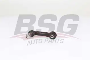 BSG 15310187 Viraj Askı Rotu Arka