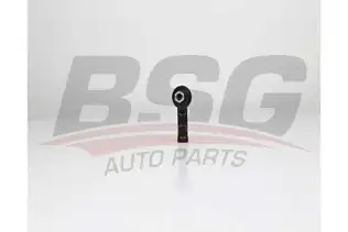 BSG 25310013 Rot Başı Ön