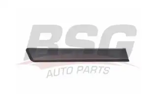 BSG 70924007 Kapı Bandı Arka Sağ