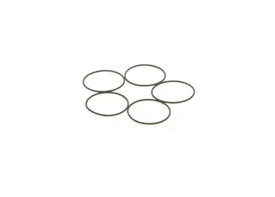 BOSCH 1410210053 O-Ring - 25. Görsel