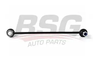 BSG 30310032 Viraj Askı Rotu Ön