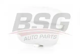 BSG 30922086 Çeki Demir Kapağı Arka