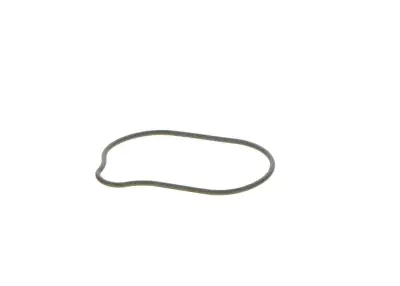 BOSCH 2440210028 O-Ring - 18. Görsel