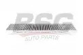 BSG 30145014 Polen Filtresi
