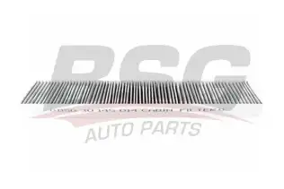 BSG 30145014 Polen Filtresi