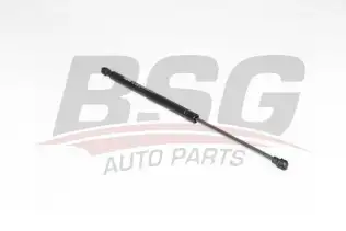 BSG 15980054 Bagaj Amortisörü