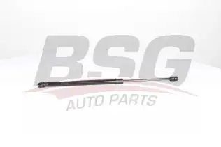 BSG 90980037 Bagaj Amortisörü