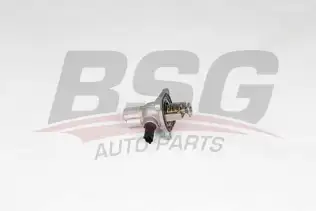 BSG 65125012 Termostat