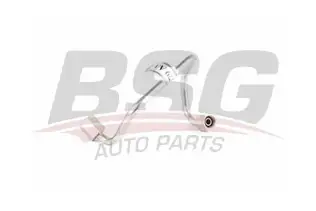 BSG 30725058 Boru Komple
