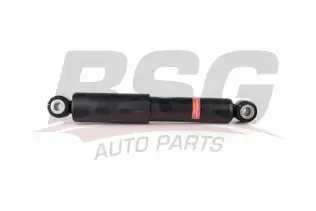 BSG 70300023 Amortisör Arka