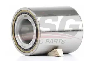 BSG 70600010 Porya Rulmanı Arka