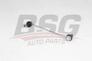 BSG 75310081 Viraj Askı Rotu Ön