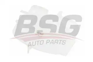 BSG 65550008 Radyatör Yedek Su Deposu