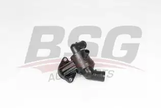 BSG 90126052 Termostat Komple