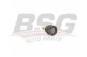 BSG 60310245 Rotil Alt