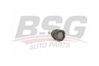 BSG 60310245 Rotil Alt