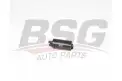BSG 15830009 Benzin Pompası