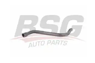 BSG 15720026 Motor Havalandırma Hortumu