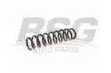 BSG 15305006 Helezon Yayı Arka