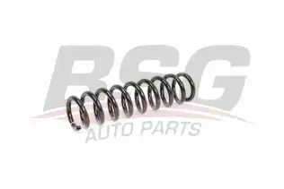 BSG 15305006 Helezon Yayı Arka