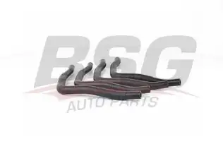 BSG 70720052 Su Hortumu