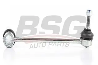 BSG 60310162 Viraj Askı Rotu Ön