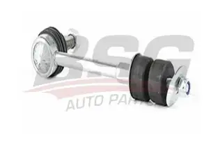 BSG 30310136 Viraj Askı Rotu Arka