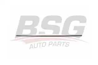 BSG 90924049 Kapı Bandı Ön Sol