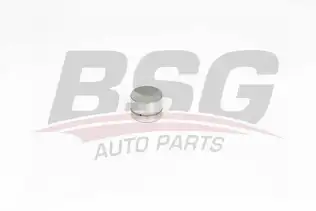 BSG 60122002 Supap Itıcısı