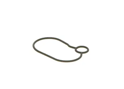 BOSCH 2440210054 O-Ring - 8. Görsel