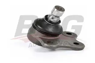 BSG 30310016 Rotil Alt