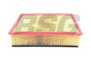 BSG 60135001 Hava Filtresi