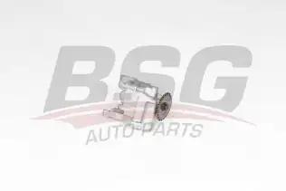 BSG 90101005 Yağ Pompası